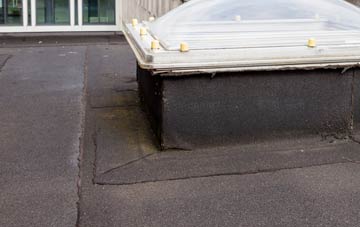 disadvantages of Damhead flat roofs